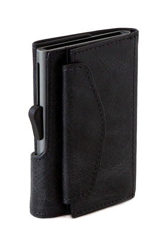 WCHC11975 w/coins Blackwood